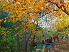 -北京西山国家森林公园