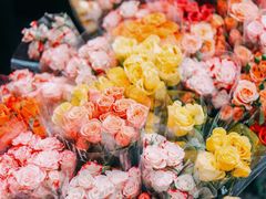 -循礼门鲜花花市(武汉循礼门店)