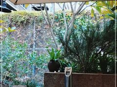 -肴约·花园式餐厅(湖里店)