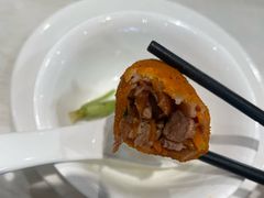 -丁老爷子苏香圆