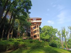 -缙云山景区