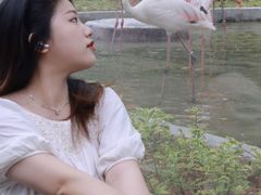 -灵玲国际马戏城