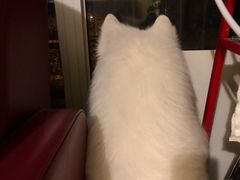 -北京恒爱动物医院(清景园分院)