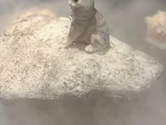 -将太无二·北美传奇寿司(荟聚购物中心西红门店)