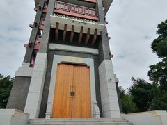 -王借岗森林公园