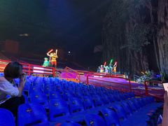 -广州长隆国际大马戏