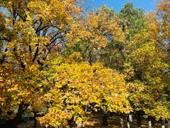-山东师范大学(千佛山校区)