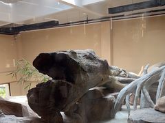 -宁波野生动物园