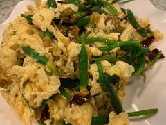 黄瓜苗炒鸡蛋-文三里屯面馆(三里屯店)