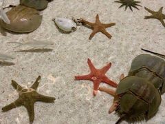 -福州罗源湾海洋世界旅游区