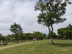 -径山花海