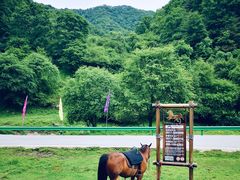 -大水川景区