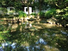 -上海醉白池公园