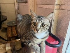 -逃脱反斗城沉浸剧情密室(北京路店)