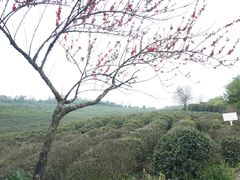 -南京市江宁方山