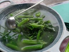 -绿草墩