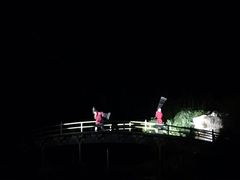 -禅宗少林·音乐大典