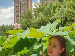 -陈家山荷花公园
