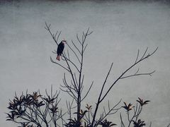 -美丽洲堂