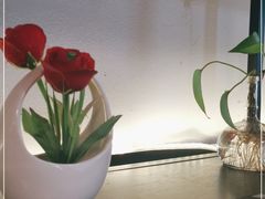 -三猫黑鱼花(南大店)