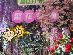 -正佳雨林生态植物园