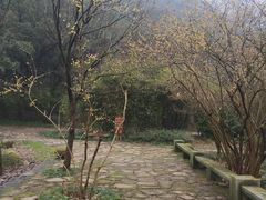 -黄公望隐居地