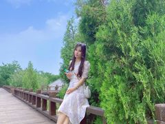 -伏羲山旅游区
