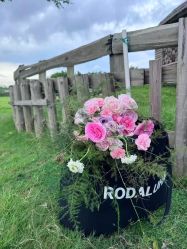 -金夫人婚纱摄影(华南店)