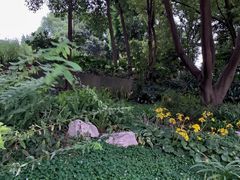 -成都市活水公园