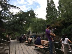 -兰溪青年公园