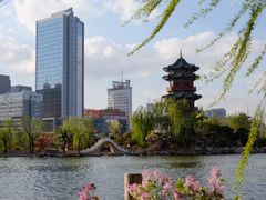 -迎泽公园