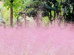 -苏州河梦清园环保主题公园