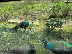 -苏州环秀晓筑养生度假村