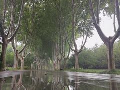 -郑州植物园