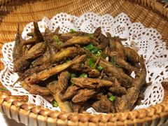 -大榕树下顺德菜(融创茂店)