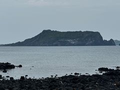 -涉地可支
