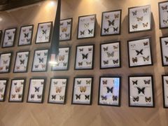 -吉布鲁牛排海鲜自助(成都大悦城店)