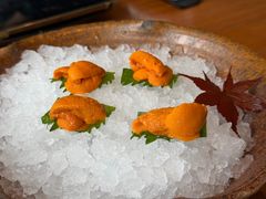 -月龍吟(朝龙汇店)