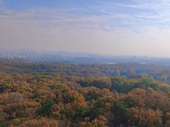 -灵谷景区