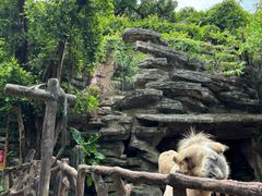 -长鹿旅游休博园