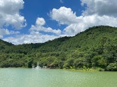 -广州白江湖森林公园