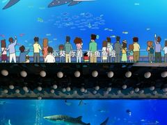 -烟台海昌鲸鲨海洋公园