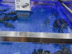 -盒马鲜生(枣园路店)