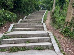 -青龙山国家森林公园