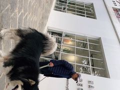-收获咖啡HARVEST RESERVE(苍山店)