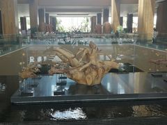 -三亚湾红树林度假世界(木棉酒店)