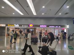 -上海浦东国际机场-T2航站楼
