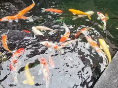 -喜月轩