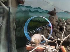 -海合安成都极地海洋公园