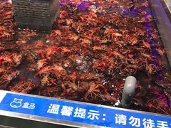 -盒马鲜生(昆城店)